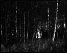 "Metsän portti, Gate of the Forest", 2010, B&W photograph, pigment print, 100x130cm, edition 1/5 ©Veli Granö
